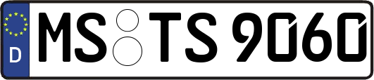 MS-TS9060