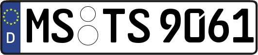 MS-TS9061