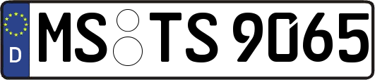 MS-TS9065