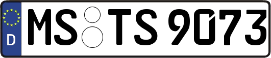 MS-TS9073
