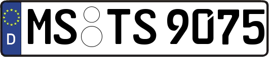 MS-TS9075