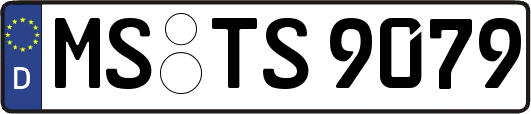 MS-TS9079