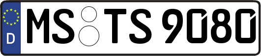 MS-TS9080