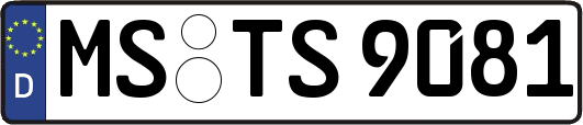 MS-TS9081
