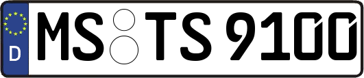 MS-TS9100