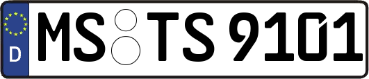 MS-TS9101