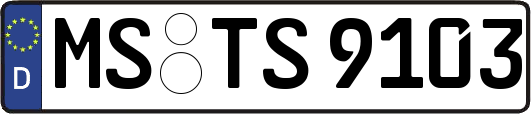 MS-TS9103
