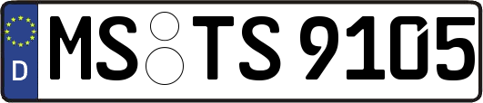 MS-TS9105