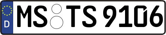 MS-TS9106