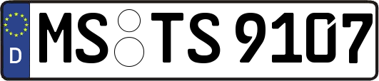 MS-TS9107