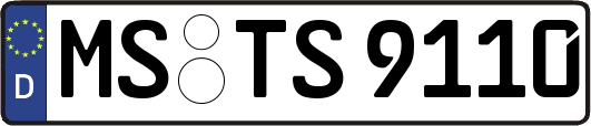 MS-TS9110