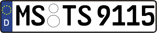 MS-TS9115