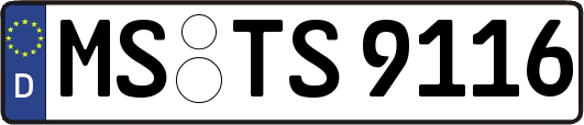 MS-TS9116