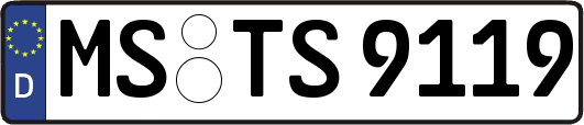 MS-TS9119