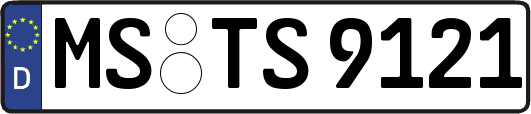 MS-TS9121