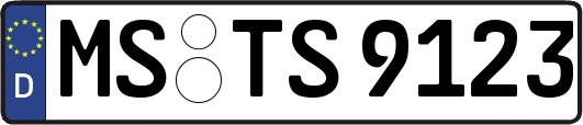 MS-TS9123