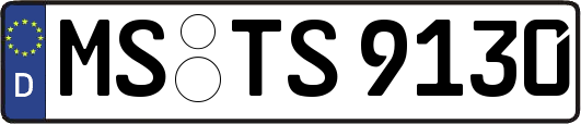 MS-TS9130