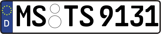 MS-TS9131