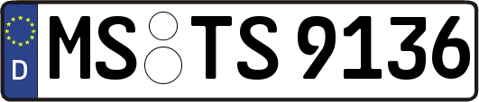 MS-TS9136