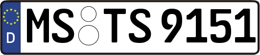 MS-TS9151