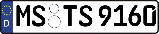 MS-TS9160
