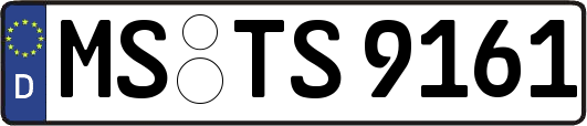 MS-TS9161
