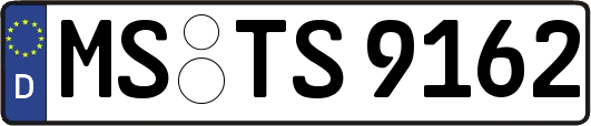 MS-TS9162