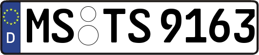 MS-TS9163