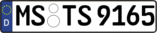 MS-TS9165