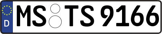 MS-TS9166