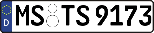 MS-TS9173
