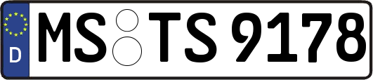 MS-TS9178