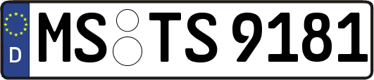 MS-TS9181