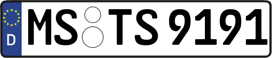 MS-TS9191