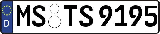 MS-TS9195