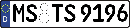 MS-TS9196