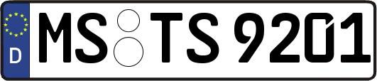 MS-TS9201
