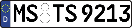 MS-TS9213