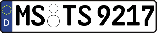 MS-TS9217