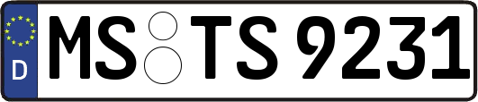 MS-TS9231