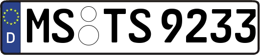 MS-TS9233