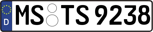MS-TS9238