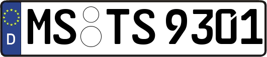 MS-TS9301