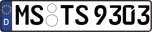 MS-TS9303