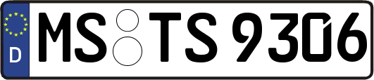 MS-TS9306