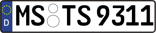 MS-TS9311