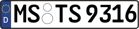 MS-TS9316