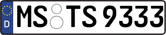 MS-TS9333