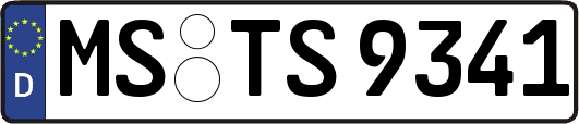 MS-TS9341