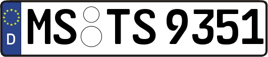 MS-TS9351